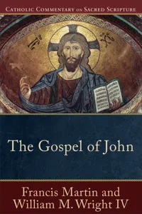 The Gospel of John_cover