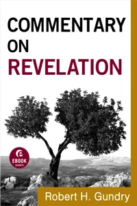 Commentary on Revelation_cover