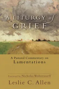 A Liturgy of Grief_cover