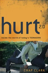 Hurt 2.0_cover
