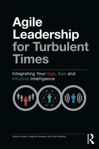 Agile Leadership for Turbulent Times_cover