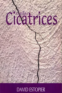 Ciertas cicatrices_cover