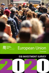 EIB Group Survey on Investment and Investment Finance 2020: EU overview_cover