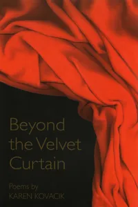 Beyond the Velvet Curtain_cover