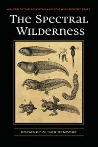 The Spectral Wilderness_cover