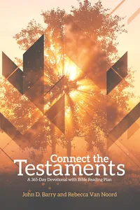 Connect the Testaments_cover