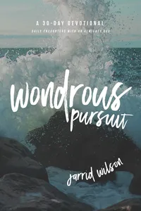 Wondrous Pursuit_cover