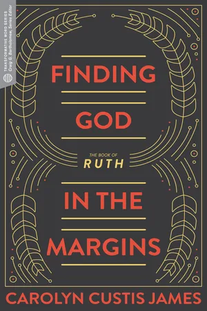 Finding God in the Margins (Transformative Word)