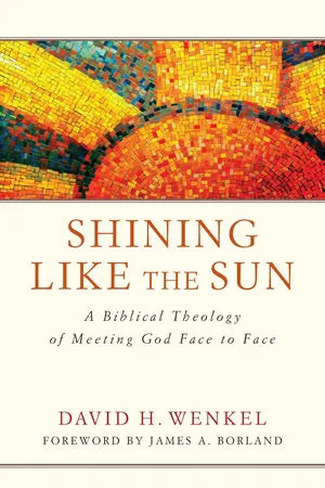 Shining Like the Sun