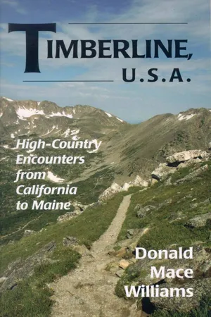 Timberline U.S.A.