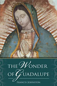 The Wonder of Guadalupe_cover