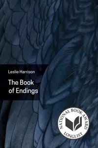 The Book of Endings_cover