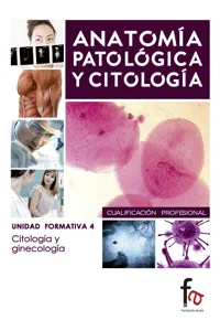 CITOLOGÍA Y GINECOLOGÍA_cover