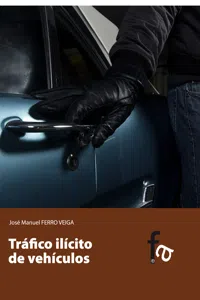 TRÁFICO ILÍCITO DE VEHÍCULOS_cover