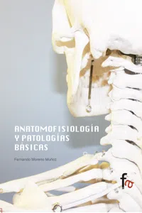 ANATOMOFISIOLOGÍA Y PATOLOGIAS BÁSICAS_cover