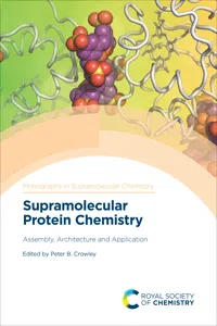 Supramolecular Protein Chemistry_cover