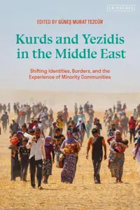 Kurds and Yezidis in the Middle East_cover