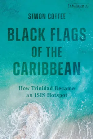 Black Flags of the Caribbean