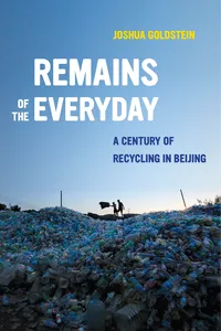 Remains of the Everyday_cover