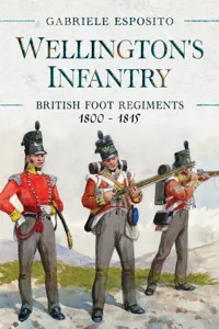 Wellington's Infantry_cover