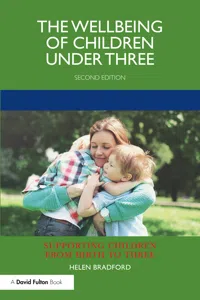 The Wellbeing of Children under Three_cover