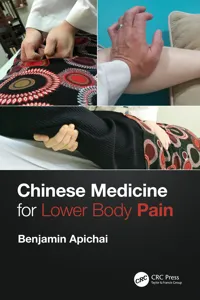 Chinese Medicine for Lower Body Pain_cover