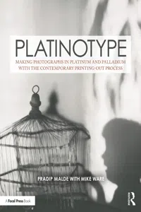 Platinotype_cover