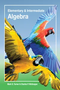 Elementary and Intermediate Algebra_cover