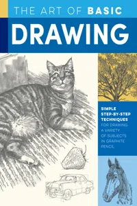 The Art of Basic Drawing_cover