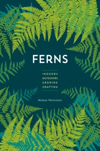 Ferns_cover