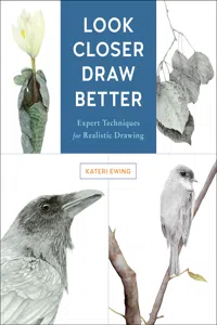 Look Closer, Draw Better_cover