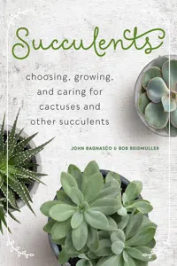 Succulents_cover