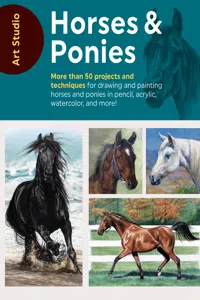 Art Studio: Horses & Ponies_cover