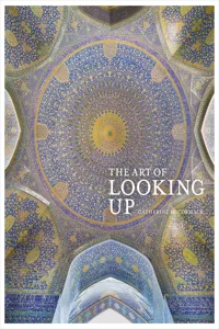 The Art of Looking Up_cover