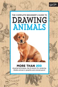 The Complete Beginner's Guide to Drawing Animals_cover