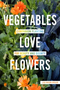 Vegetables Love Flowers_cover