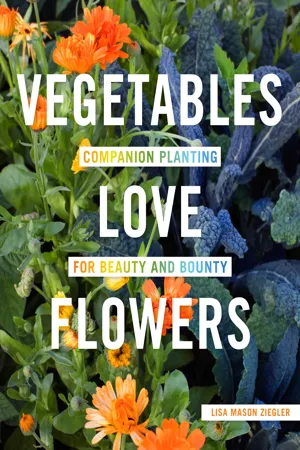 Vegetables Love Flowers