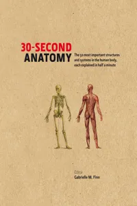 30-Second_cover