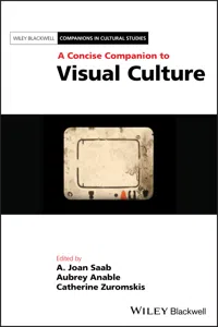 A Concise Companion to Visual Culture_cover