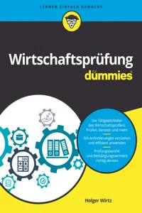 Wirtschaftsprüfung für Dummies_cover