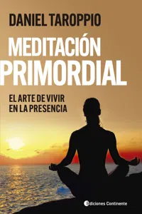 Meditación primordial_cover