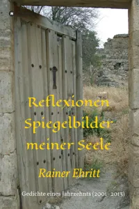 Reflexionen - Spiegelbilder meiner Seele_cover