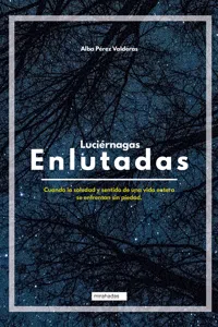 Luciérnagas enlutadas_cover