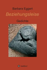 Beziehungsleise_cover