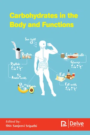 Carbohydrates in the body and functions