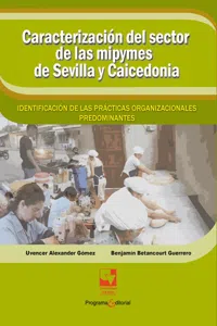 Caracterización del sector de las mipymes de Sevilla y Caicedonia:_cover