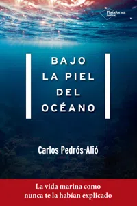 Bajo la piel del océano_cover