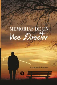 Memorias de un Vice Director_cover