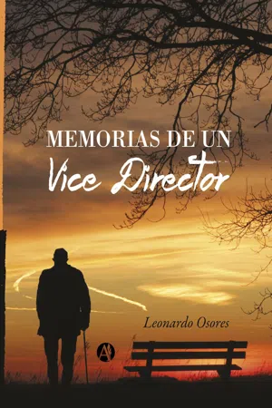 Memorias de un Vice Director