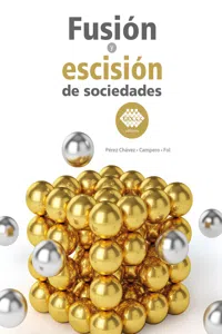 Fusión y escisión de sociedades 2019_cover